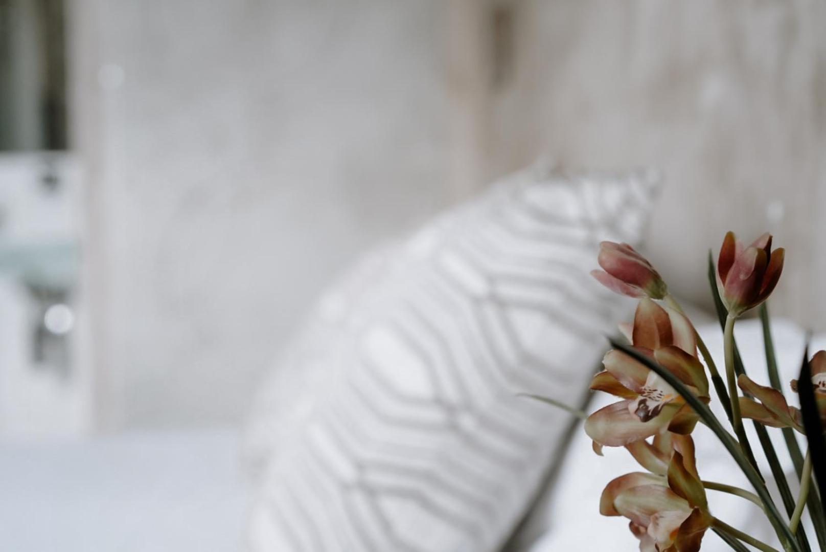 Ideal Sejour Cannes - Stylish Boutique Hotel With Quiet Garden Luaran gambar
